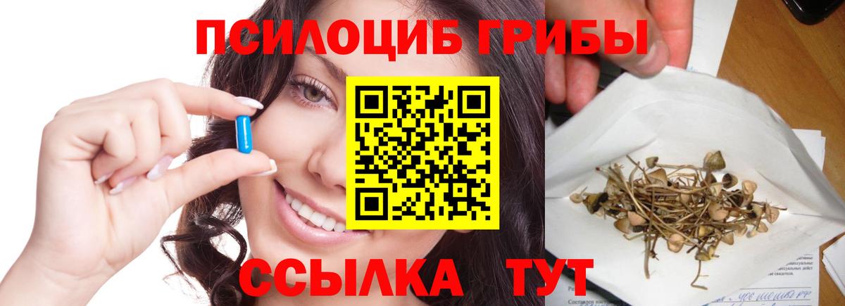 Пушкино  Псилоцибиновые грибы Cubensis  Вход с VPN 