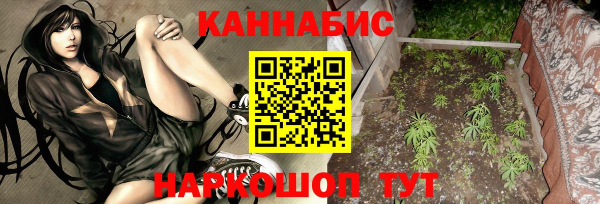 Пушкино  Конопля сатива  Вход с VPN  Марихуана планчик 